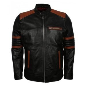 Braun gestreifte, gesteppte, trendige schwarze Herren-Retro-Lederjacke